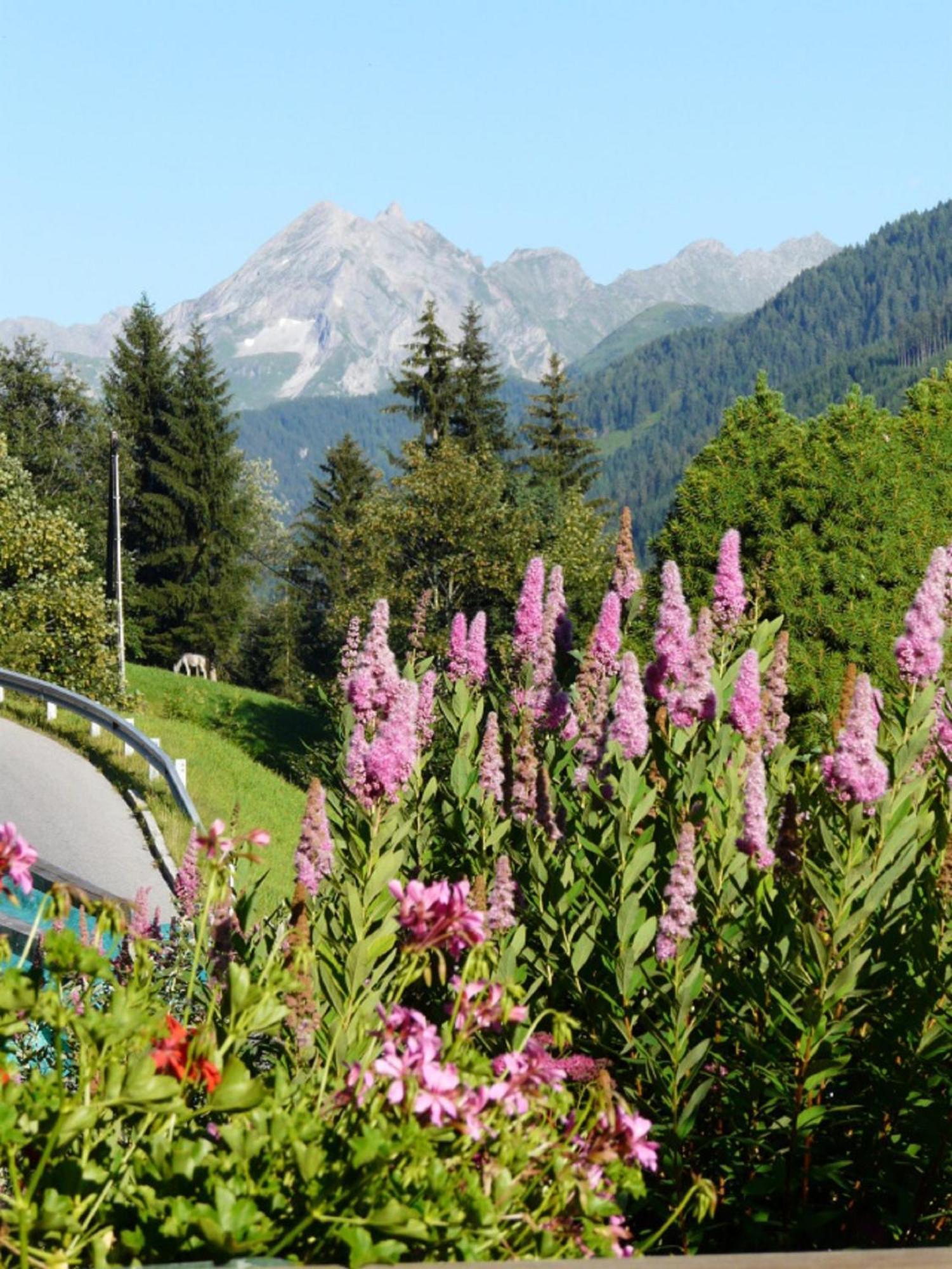 Haus Kammerland Zell am Ziller Exterior foto